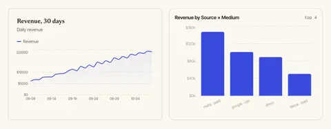 Two sample revenue charts: daily revenue over thirty days, rising from about six to nineteen thousand dollars a day, and revenue by source and medium across Meta, Google, direct and TikTok. Sample data.